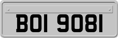 BOI9081