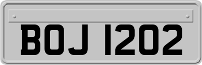 BOJ1202
