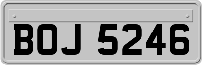BOJ5246