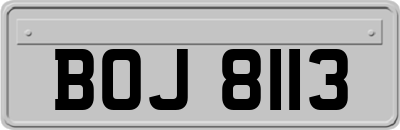 BOJ8113