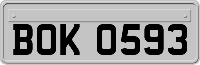 BOK0593