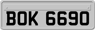 BOK6690