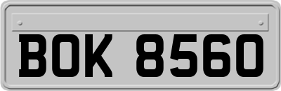 BOK8560