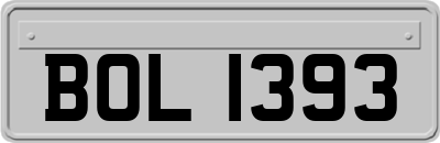 BOL1393