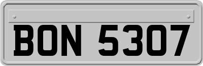 BON5307