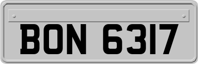 BON6317