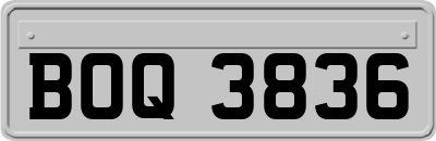 BOQ3836