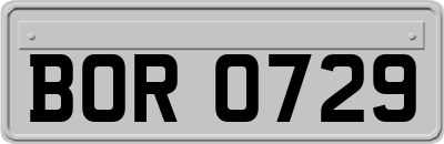 BOR0729
