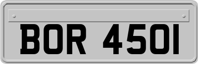 BOR4501