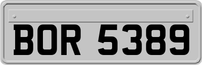 BOR5389
