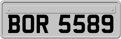 BOR5589