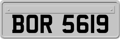BOR5619
