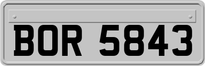 BOR5843
