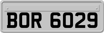 BOR6029