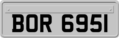 BOR6951