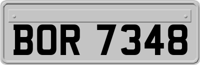 BOR7348