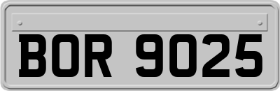 BOR9025