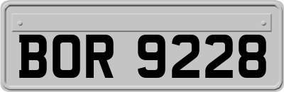 BOR9228