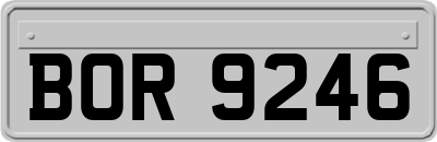 BOR9246