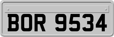 BOR9534