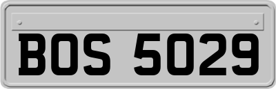BOS5029