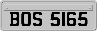 BOS5165