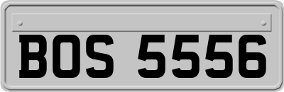 BOS5556