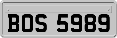 BOS5989