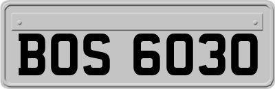 BOS6030