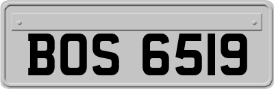 BOS6519