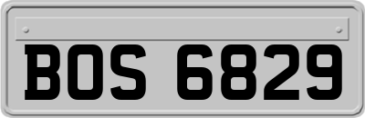 BOS6829