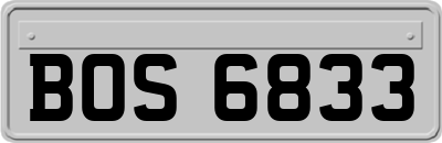 BOS6833