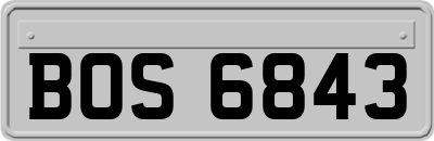 BOS6843