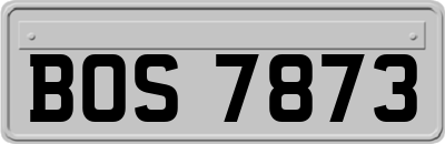 BOS7873