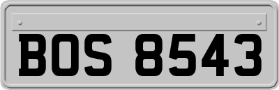 BOS8543