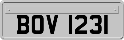 BOV1231