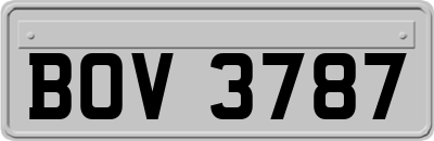 BOV3787