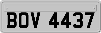 BOV4437