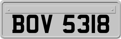 BOV5318