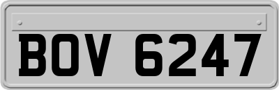 BOV6247