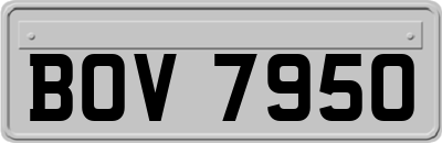 BOV7950