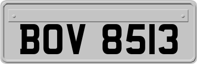 BOV8513