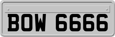 BOW6666