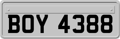 BOY4388