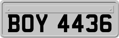 BOY4436