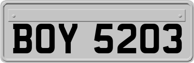BOY5203