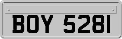 BOY5281