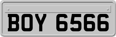 BOY6566