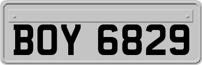 BOY6829
