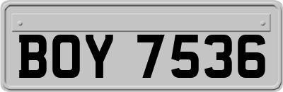 BOY7536